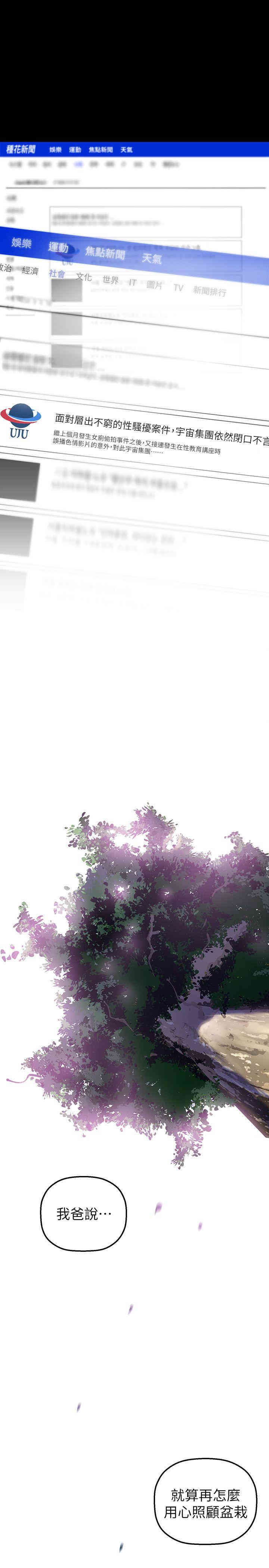 美丽新世界