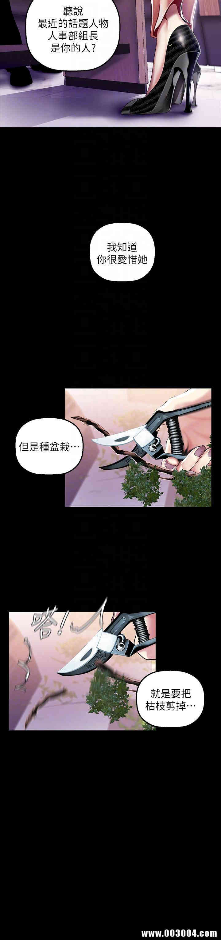 美丽新世界
