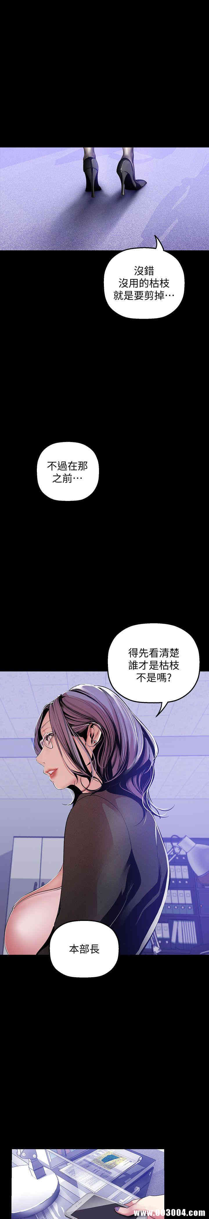 美丽新世界