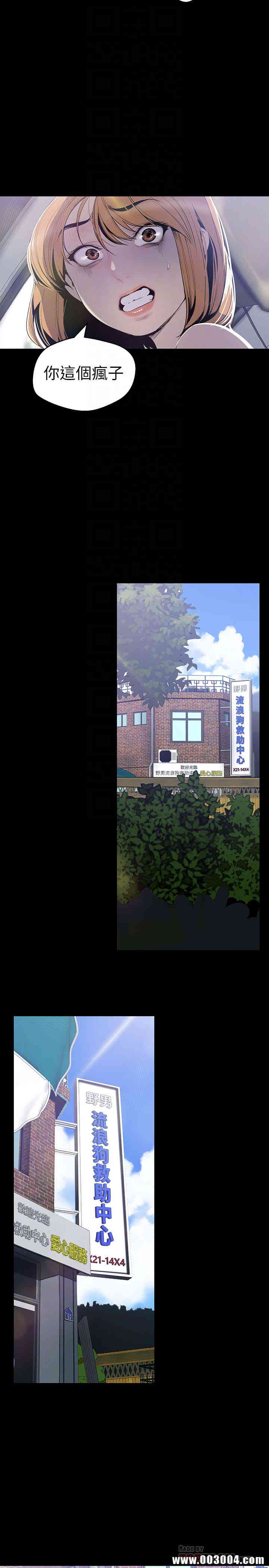 美丽新世界