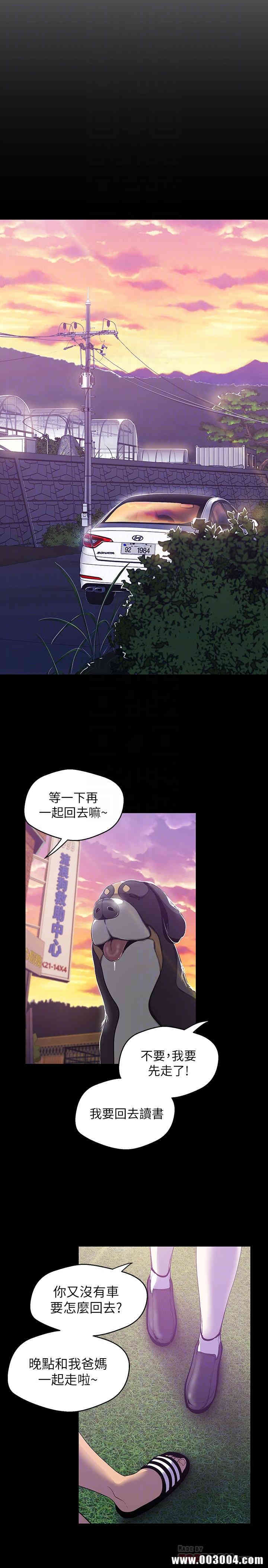 美丽新世界