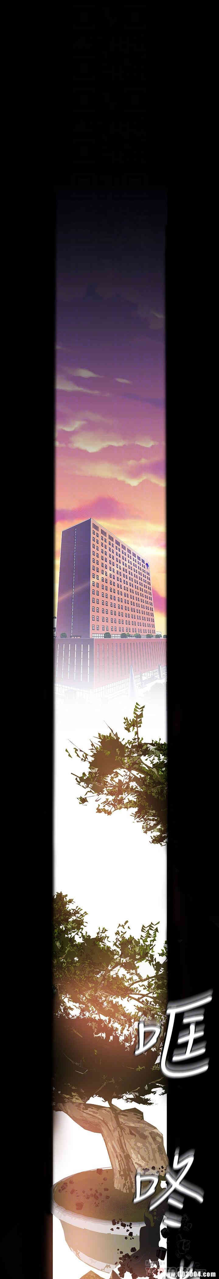 美丽新世界