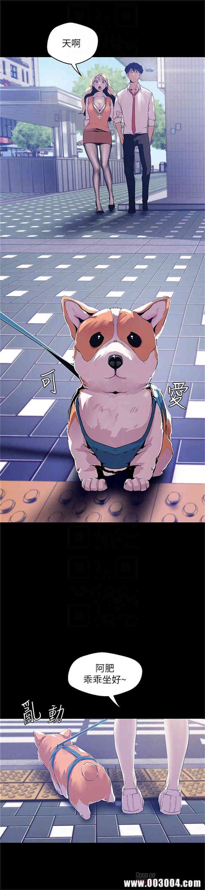 美丽新世界