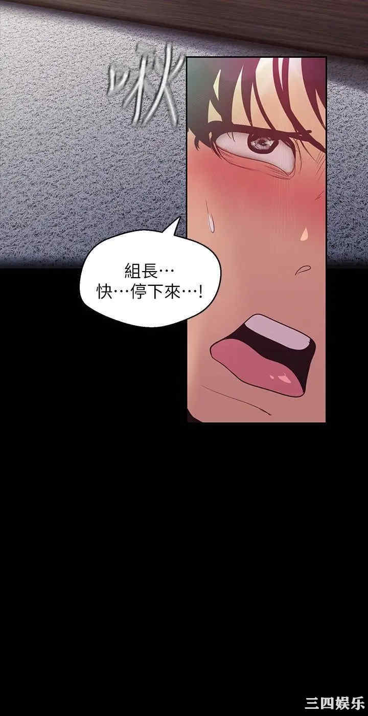 美丽新世界