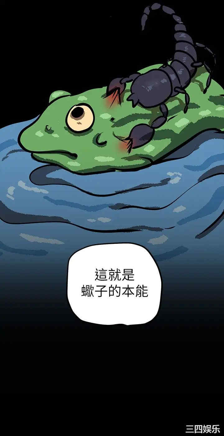 美丽新世界