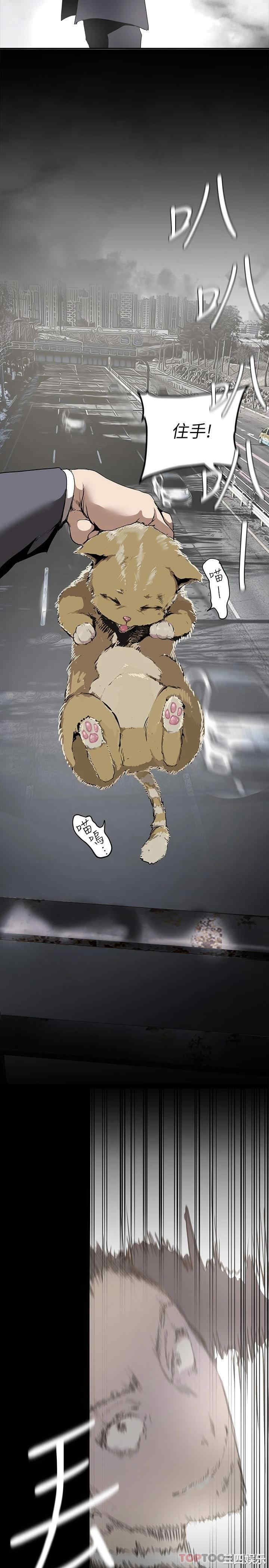 美丽新世界