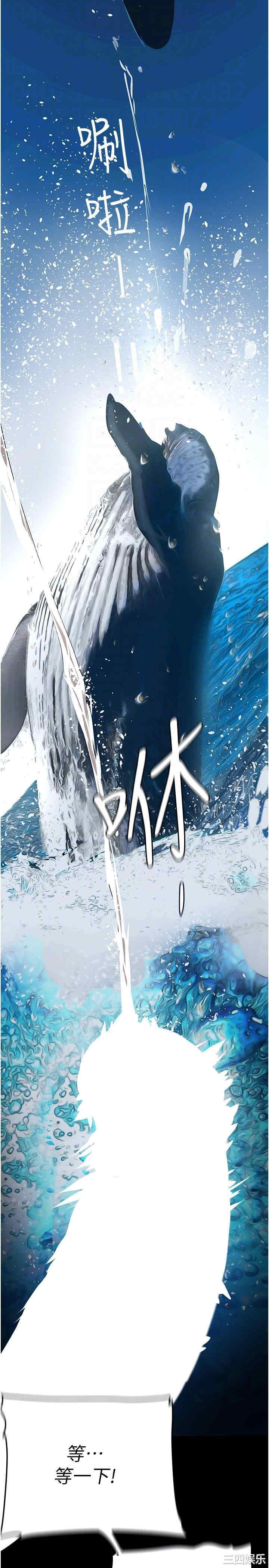 美丽新世界