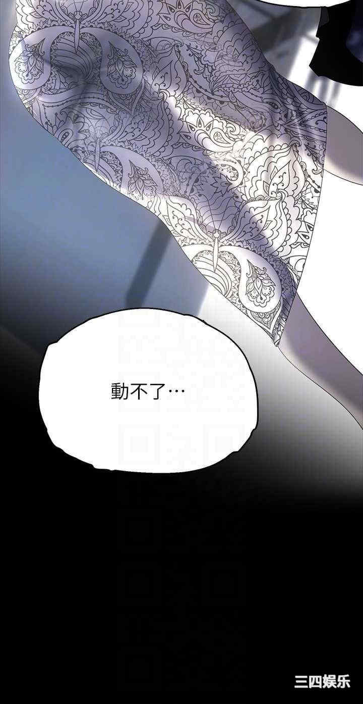 美丽新世界