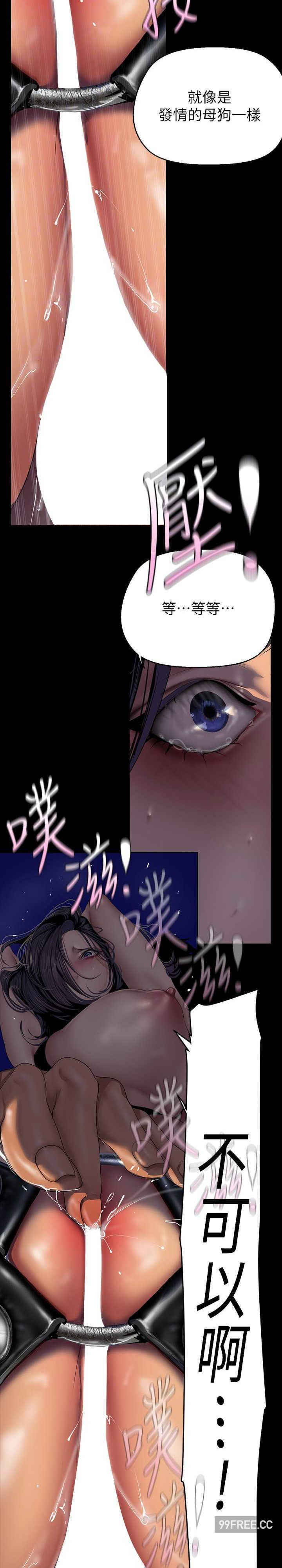 美丽新世界