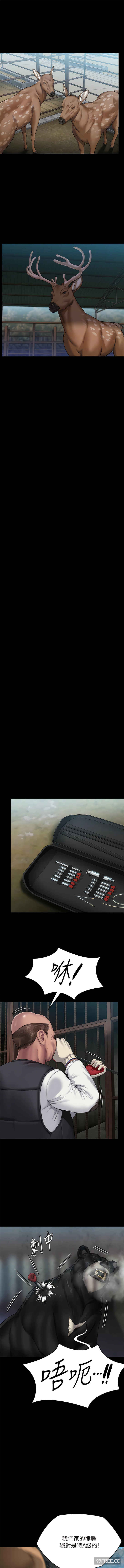 傀儡