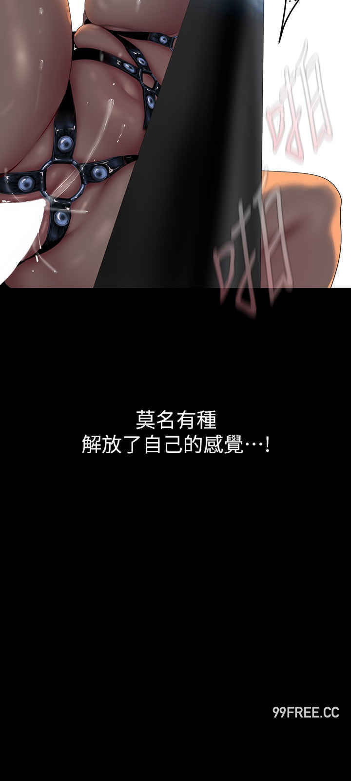 美丽新世界