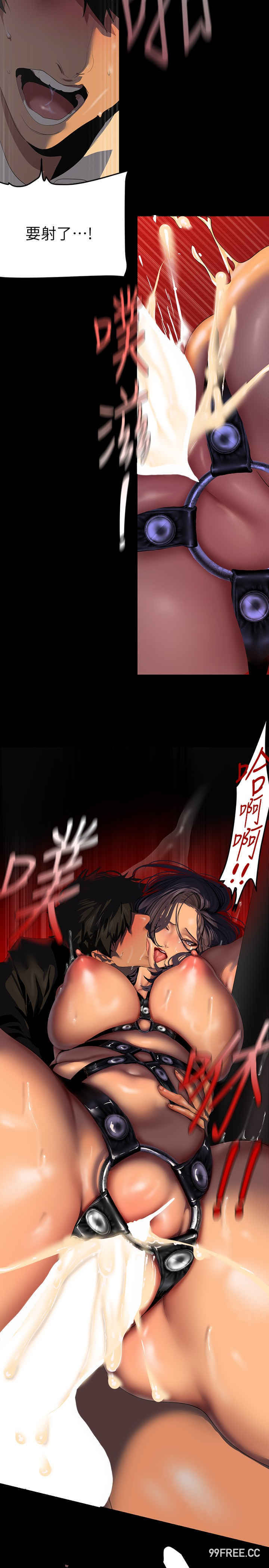 美丽新世界