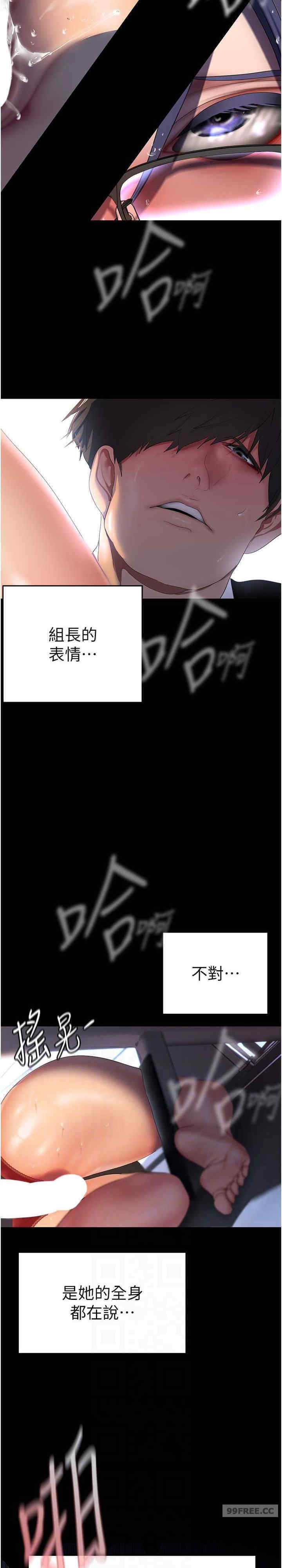 美丽新世界