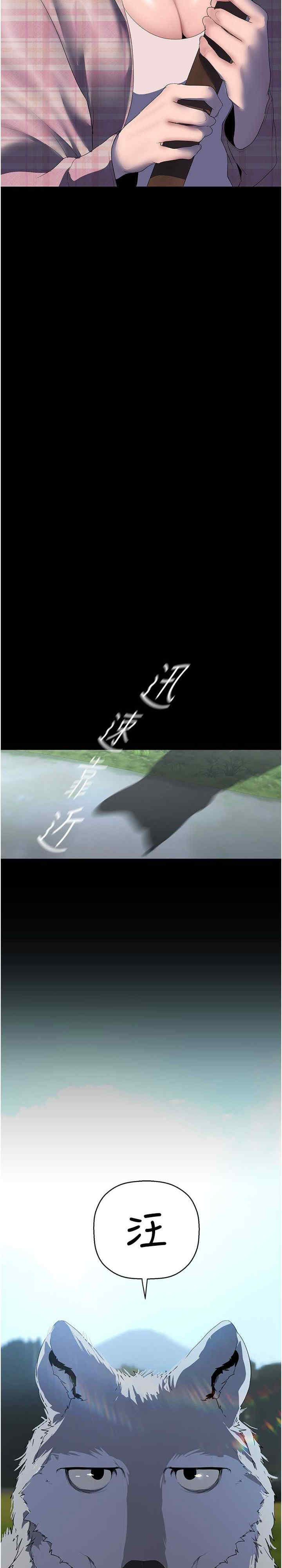 美丽新世界