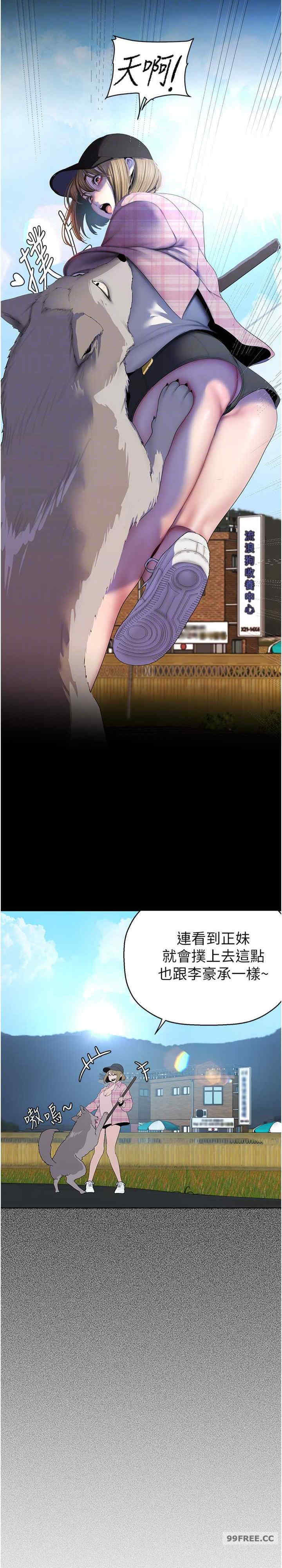 美丽新世界