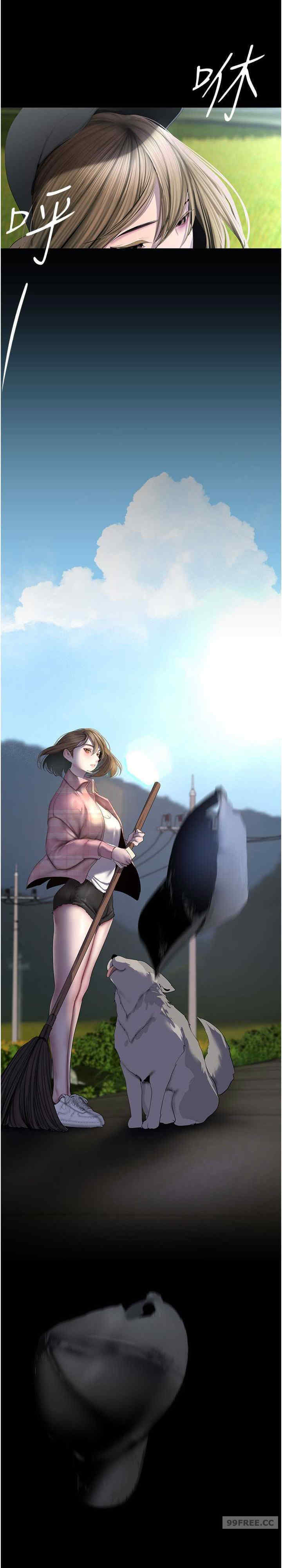 美丽新世界