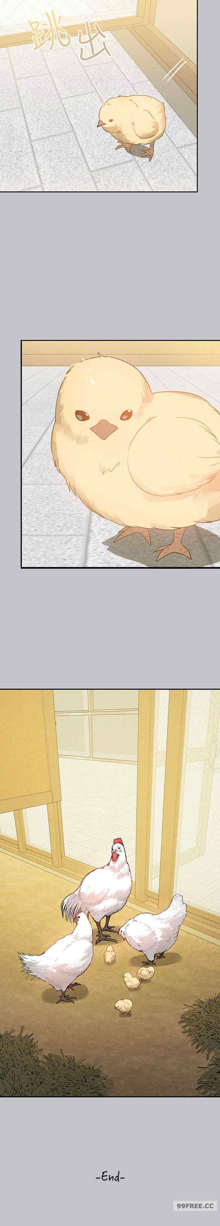 富家女姐姐
