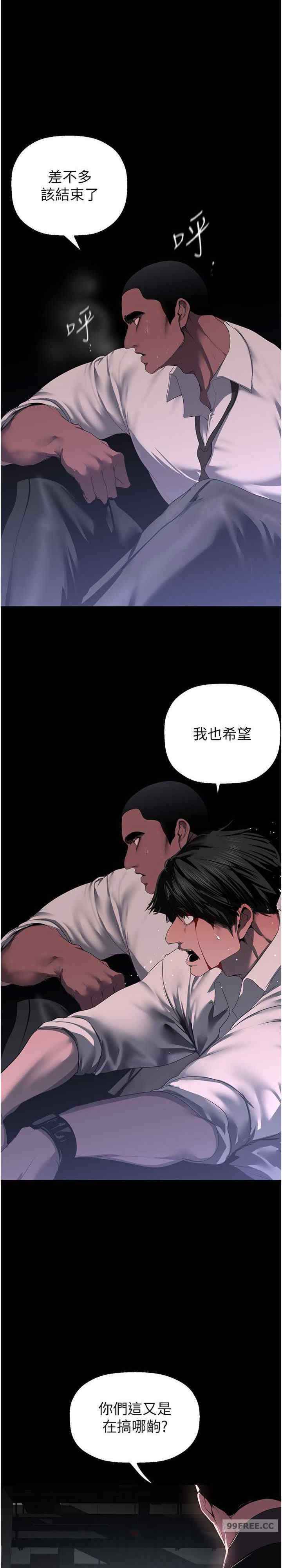 美丽新世界