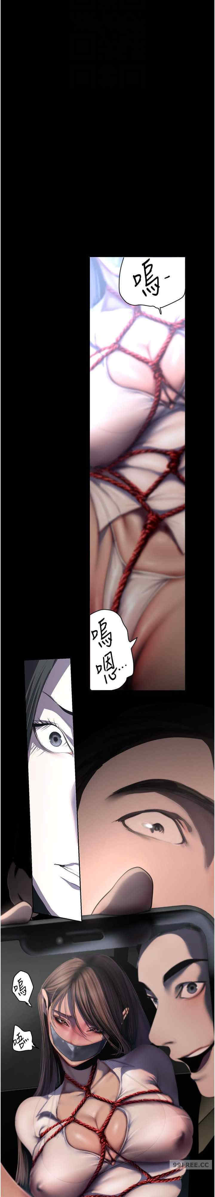 美丽新世界