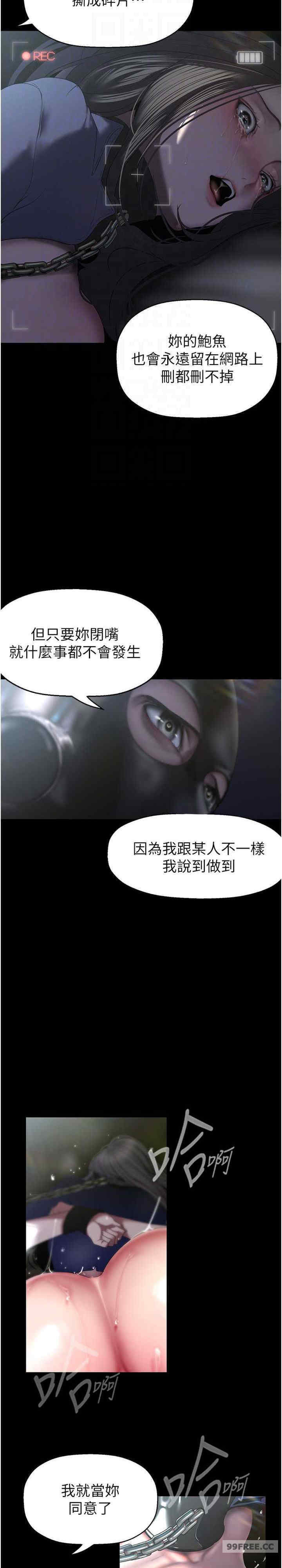 美丽新世界