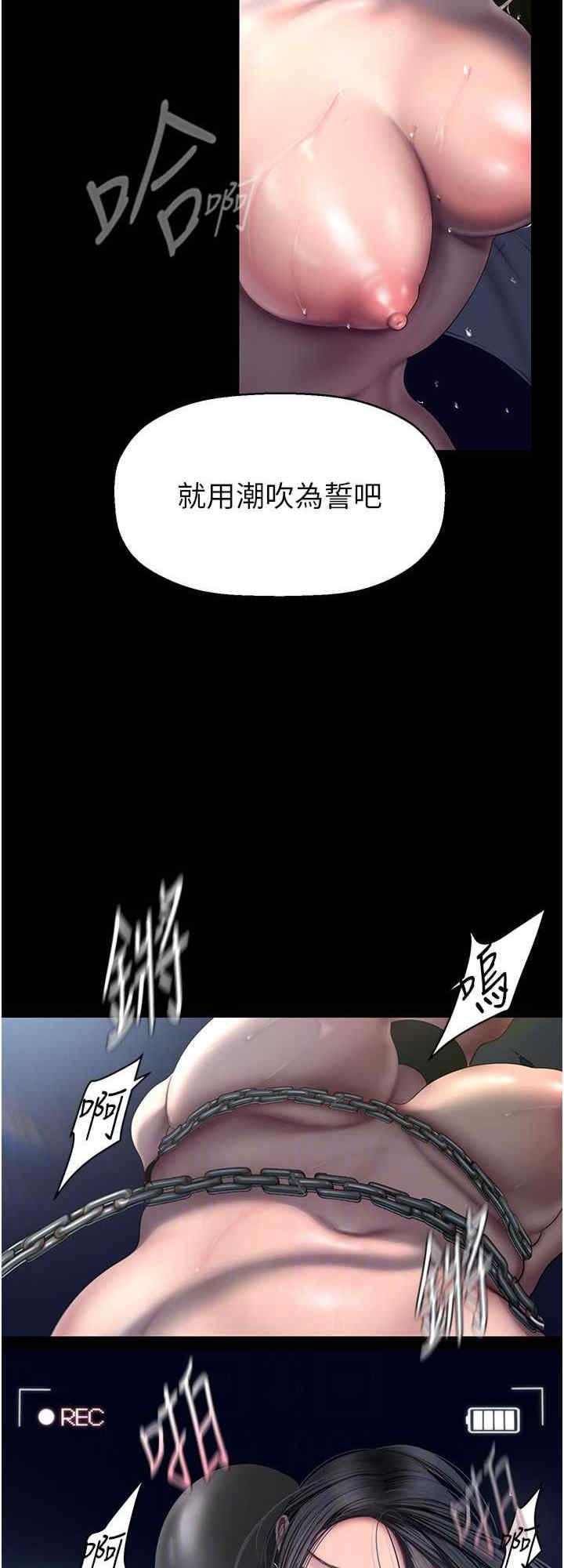 美丽新世界
