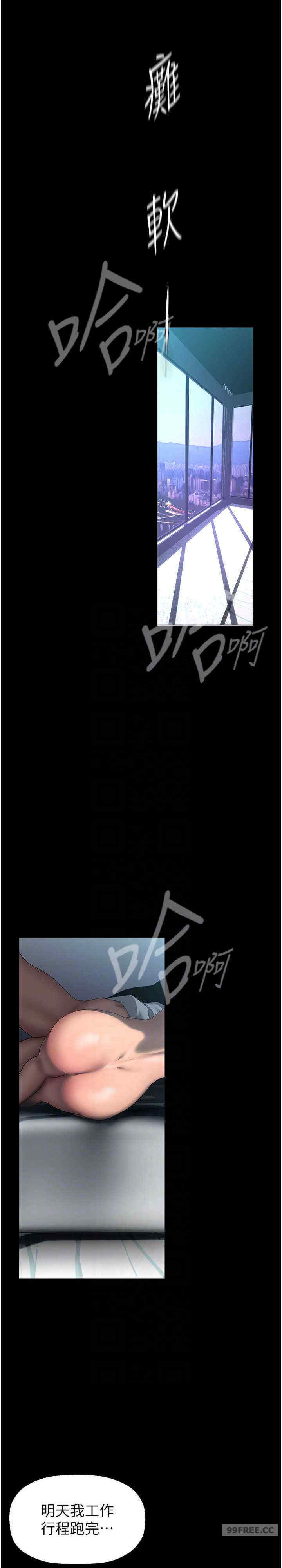 美丽新世界