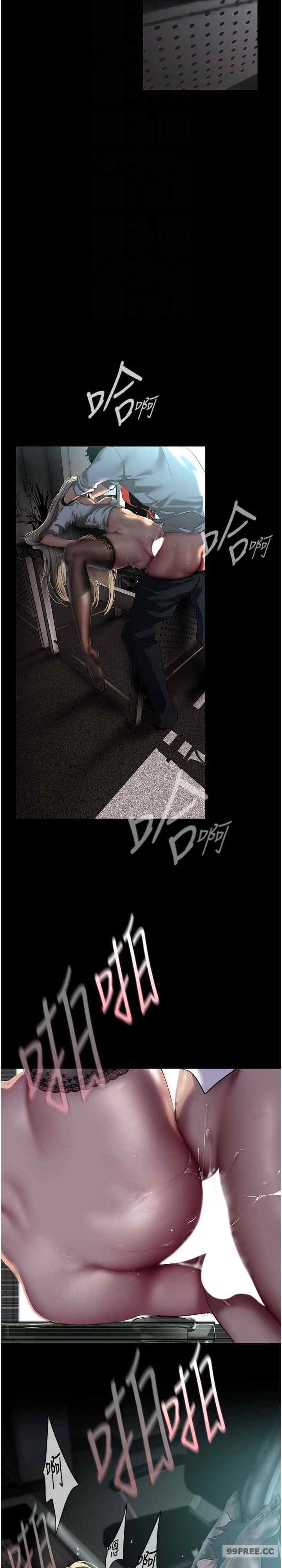 美丽新世界