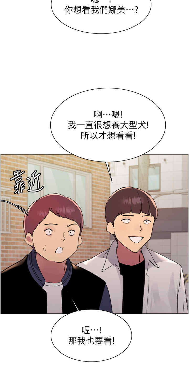色轮眼