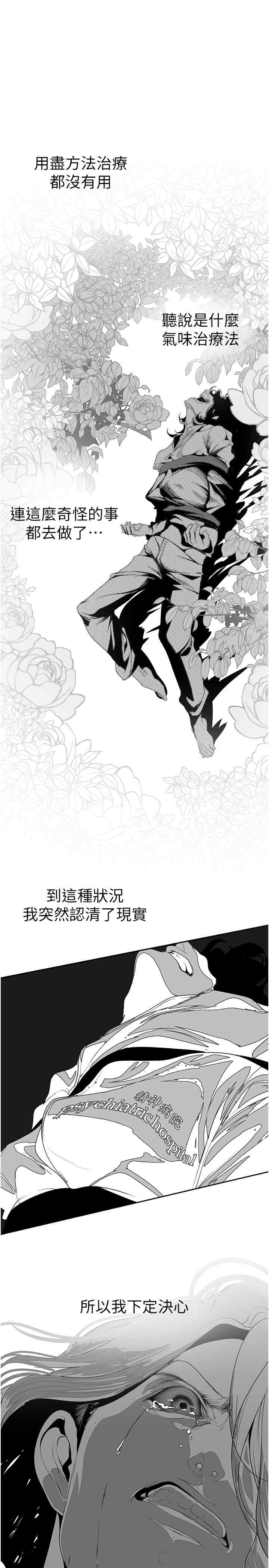 美丽新世界