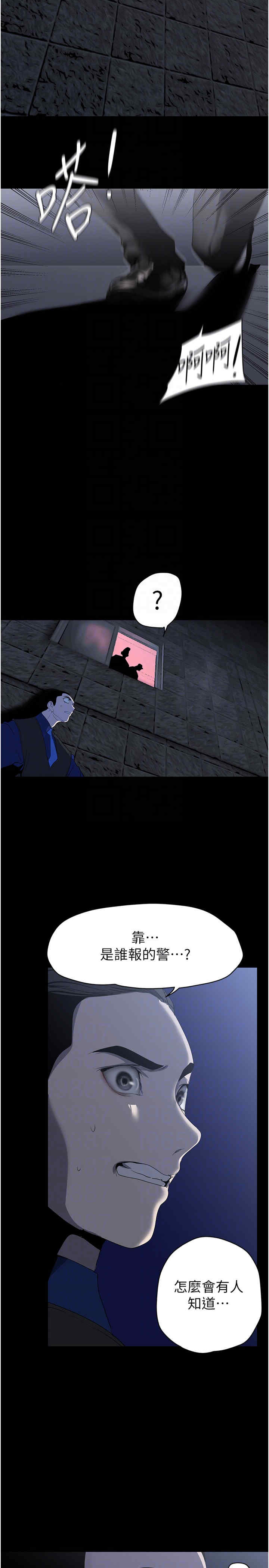 美丽新世界