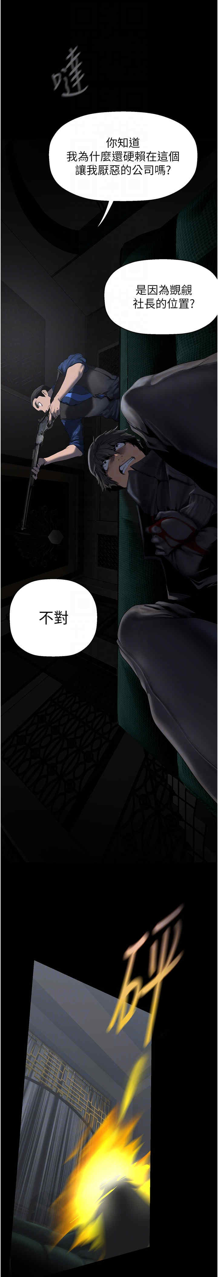 美丽新世界