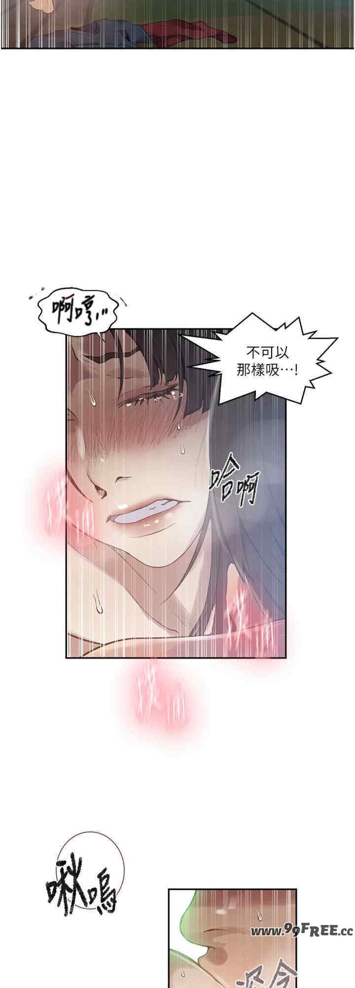秘密教学
